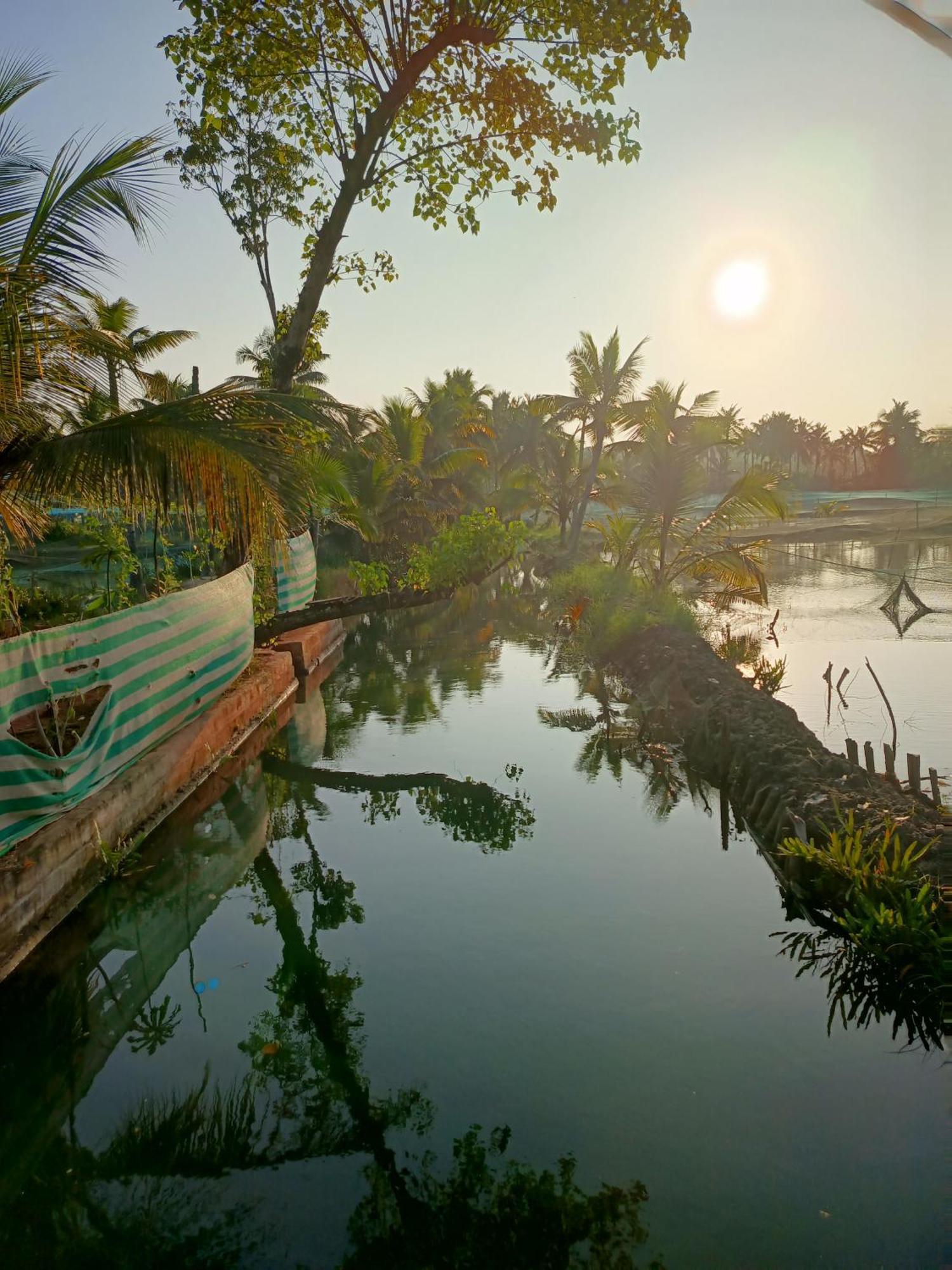 Bliss Homestay Munroe Island Mundrothuruth Eksteriør billede