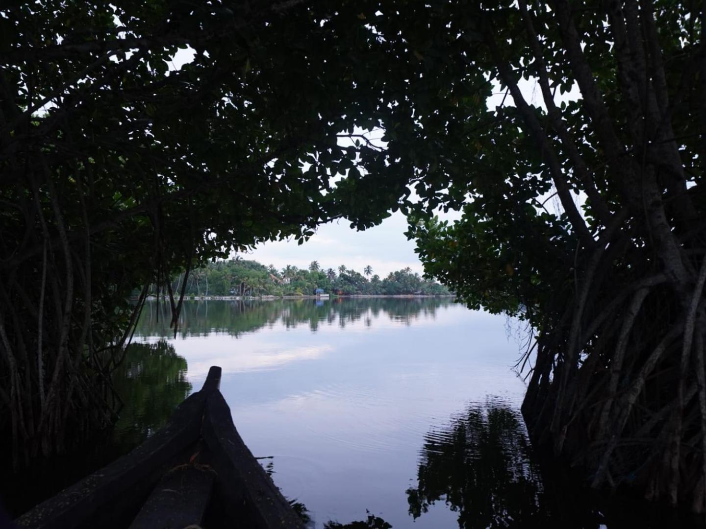 Bliss Homestay Munroe Island Mundrothuruth Eksteriør billede